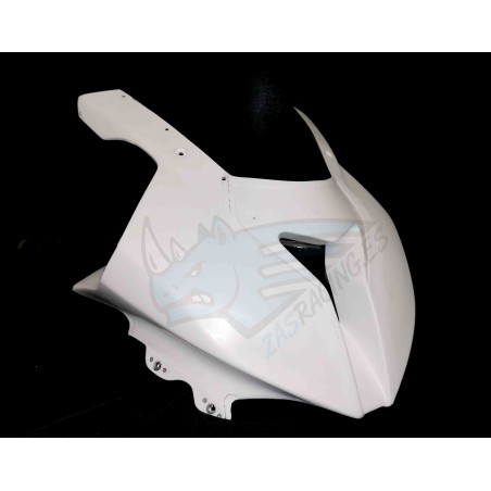 FRONTAL RACING BMW S1000RR 2009-2014