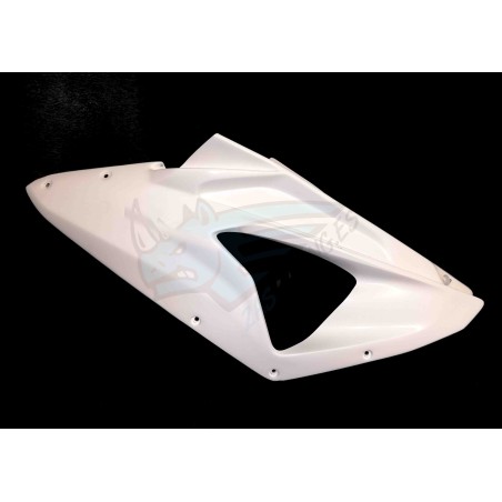 LATERAL IZQUIERDO RACING BMW S1000RR 2009-2014