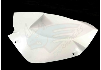BAJO COLIN BMW S1000RR 2009-2011