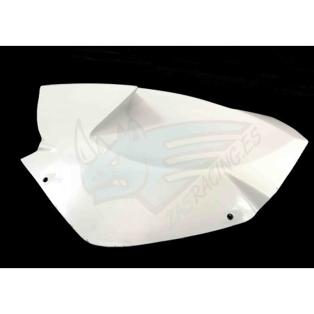 BAJO COLIN BMW S1000RR 2009-2011