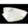 BAJO COLIN BMW S1000RR 2009-2011