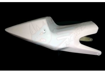 CBR 900 2002-2003 COLIN MONOPLAZA RACING