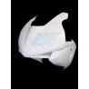 FRONTAL RACING CBR 600RR 2005-2006