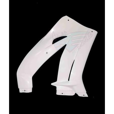 LATERAL DERECHO KAWASAKI ZX10R 2016-2020