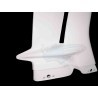 LATERAL IZQUIERDO KAWASAKI ZX10R 2016-2020