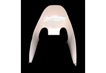 CANALIZADOR AIRE KAWASAKI ZX10R 2016-2020