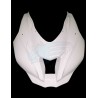FRONTAL KAWASAKI ZX10R 2016-2020