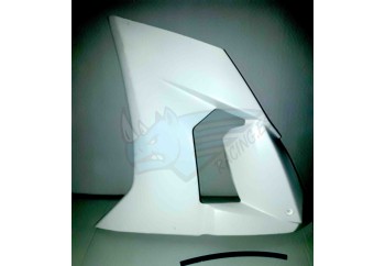 LATERAL IZQUIERDO ZX10R 2008-2010
