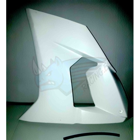 LATERAL IZQUIERDO ZX10R 2008-2010