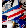 ALERONES LATERALES DOWNFORCE PARA BMW S1000RR 2015-2018