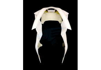 FRONTAL YZF R1/ R1M 2020-2026