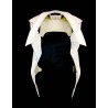 FRONTAL YZF R1/ R1M 2020-2026