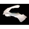 FRONTAL YZF R1/ R1M 2020-2026