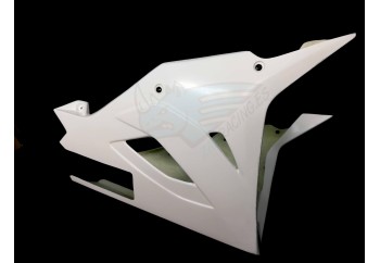 QUILLA Catalizador BMW S1000RR 2019-2021