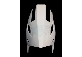 QUILLA Catalizador BMW S1000RR 2019-2021