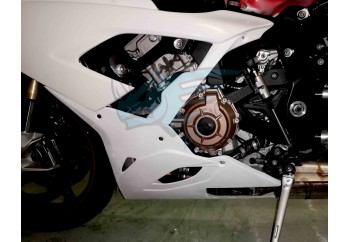 QUILLA Catalizador BMW S1000RR 2019-2021