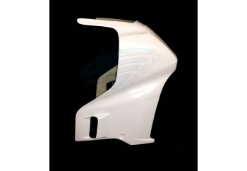 FZ 750 Frontal Racing