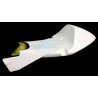 COLIN NSF 250R Moto3 2012
