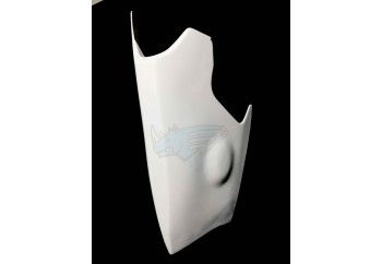 QUILLA NSF 250R Moto3 2012
