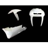 KIT A FTR MOTO2 2010