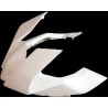 Carenado para Ktm RC8 1190