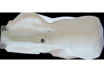 Carenado para Ducati Panigale 1199.