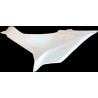 Carenado para Kawasaki Ninja 400