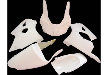 Carenado para Kawasaki ZX6R 2001-2002