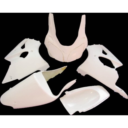 Carenado para Kawasaki ZX6R 2001-2002