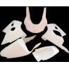 Carenado para Kawasaki ZX6R 2001-2002