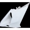 Carenado para Aprilia RSV1000 2005-2008