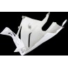 Carenado para Aprilia RSV1000 2005-2008
