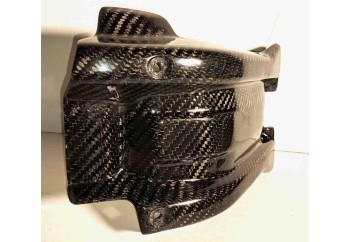 Protector Carter Carbono KTM / Husqvarna / Gas Gas 250_300 2T 2020-2023