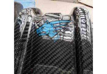 Protector Carter Carbono KTM / Husqvarna / Gas Gas 250_300 2T 2020-2023