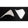 Deflectores Aire Yamaha FZ 750