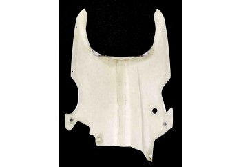 Quilla KAWASAKI ZX10R 2021-2024 para Catalizador