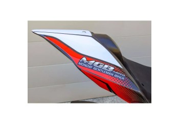 Kit adhesivos racing personalizables Ducati Panigale v4 S2 Concept