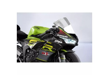 Kit adhesivos personalizables Kawasaki ZX636R 2019-2022 S2 Concept