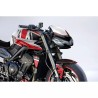 Kit adhesivos personalizables Triumph Street Triple 765 2023 S2 Concept