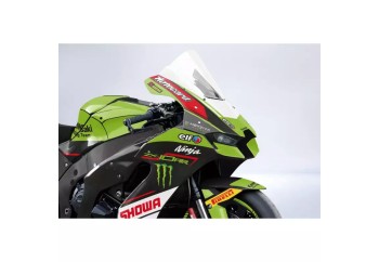 Kit adhesivos personalizables Kawasaki ZX10R 2021-2025