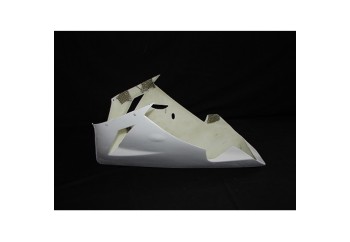 Carenado para Kawasaki ZX10R 2004-2005