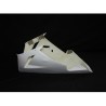 Carenado para Kawasaki ZX10R 2004-2005