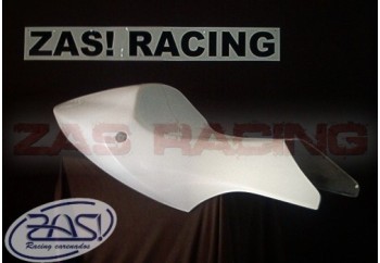 CBR 600F 2001-2007 Colin Monoplaza Racing.