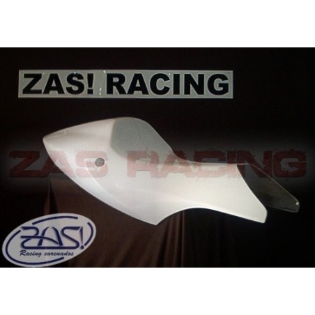 CBR 600F 2001-2007 Colin Monoplaza Racing.
