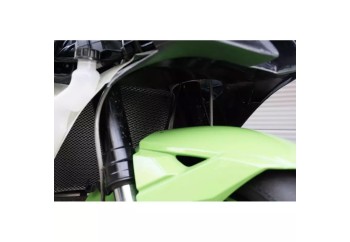 Carenado ZX10R 2021-2025 S2 Concept