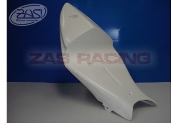 ZX6R 2009-2012 COLIN MONOPLAZA RACING