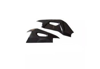 Protector basculante Aprilia RSV4 2009-2020 S2 Concept