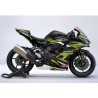Kit adhesivos personalizables Kawasaki ZX4R 2024