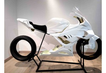 KIT EVO BMW S1000RR 2025