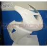 ZX10R 2006-2007 FRONTAL RACING